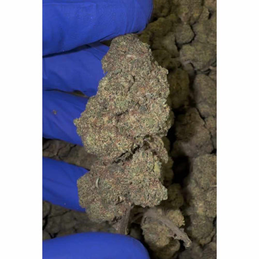 HHC-I FLOWERS DURBAN POISON 5% - BULK