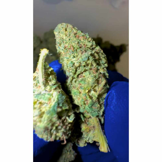 THC-R KVĚTY PINEAPPLE EXPRESS 25% - BULK